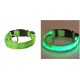 Collier pour Chien Lumineux - Led - Rechargeable USB