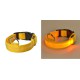 Collier pour Chien Lumineux - Led - Rechargeable USB