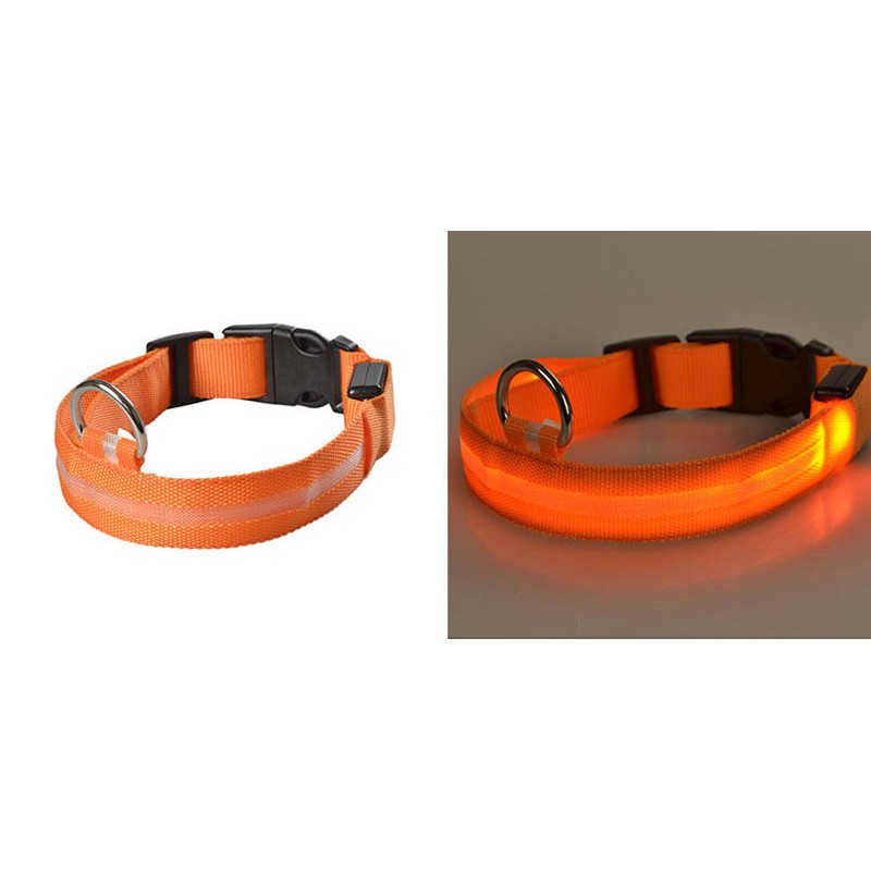 Dww-collier Lumineux Pour Chiens, Collier De Chien Led