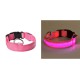 Collier pour Chien Lumineux - Led - Rechargeable USB