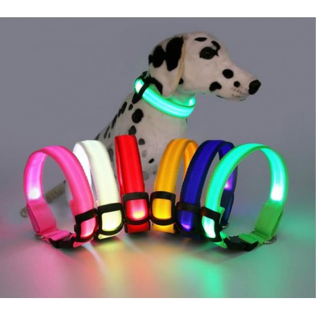 Collier pour Chien Lumineux - Led - Rechargeable USB