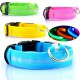 Collier pour Chien Lumineux - Led - Rechargeable USB