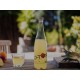 D-TOX Kombucha Elixir 100% Bio